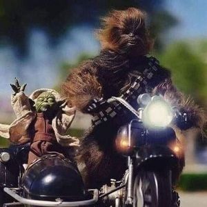 Meet your Posher, Kenneth